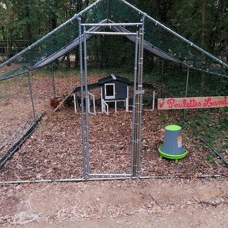 Emplacement Tente Camping Car Saint-Aubin-de-Nabirat Dış mekan fotoğraf